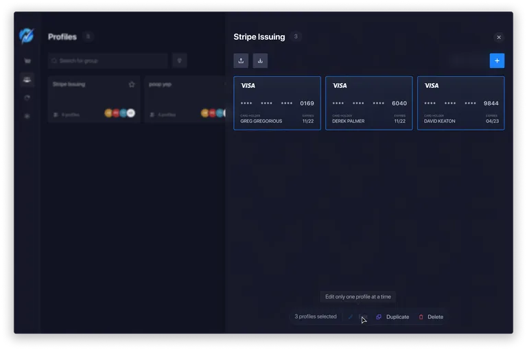 Profiles view of opened group with multiple profiles selected